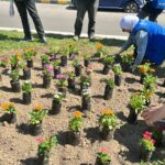 WhatsApp Image 2025-03-22 at 10.38.13